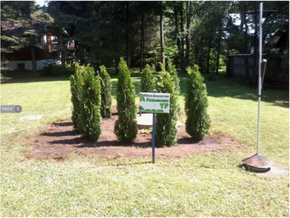 Paysagement YP - Tree Service