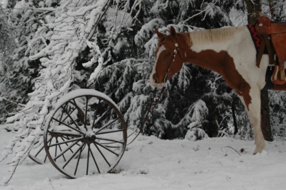 Trout Creek Feed - Feed Dealers