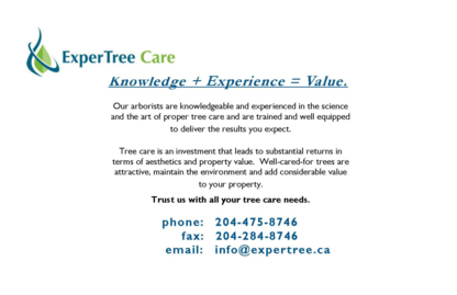 Expert Tree Care - Tree Service
