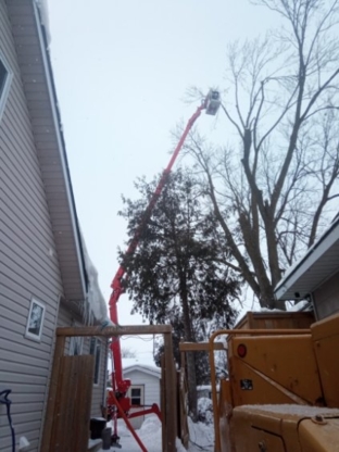Kipfer Tree Service - Tree Service