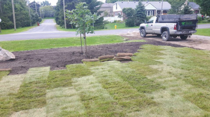Tyler's Turf Care - Lawn Maintenance
