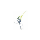 Clinique Versoi Et Maison Jacob - Massage Therapists