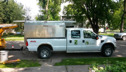 Youngs Tree Service - Tree Service
