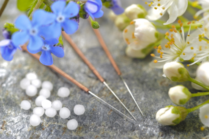 Blossom Wellness - Acupuncteurs