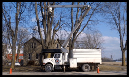 Glover's Tree Service - Service d'entretien d'arbres