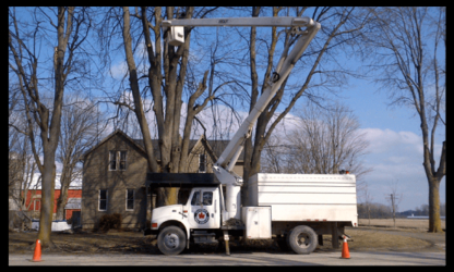 Glover's Tree Service - Tree Service