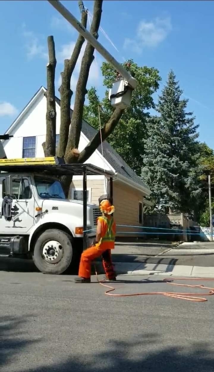 Emondage KL Inc. - Tree Service