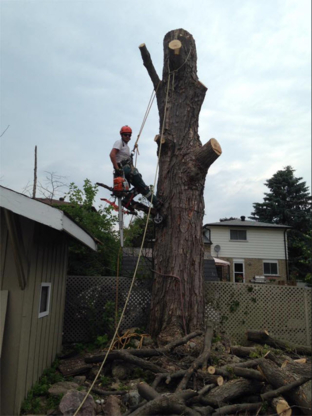 Prince Tree Service - Tree Service