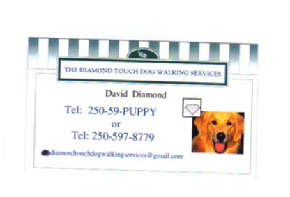 Diamond Touch Dog Rehabilitation Centre - Pet Care Services