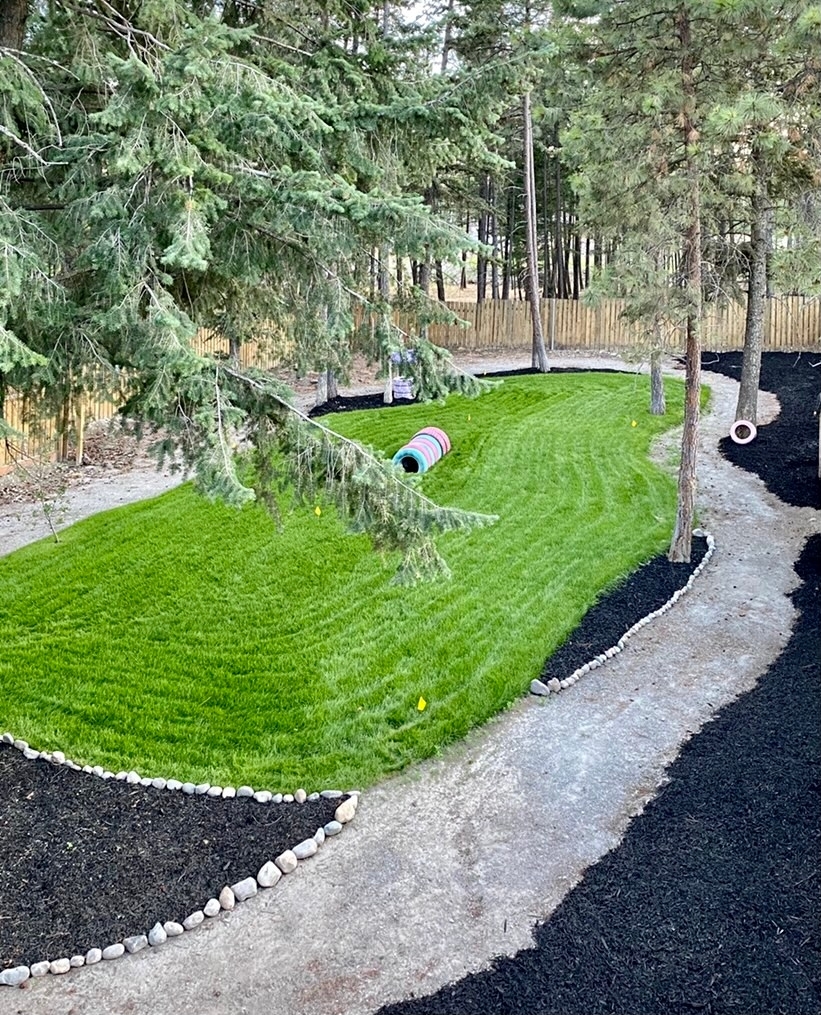 The Playpen Pet Boarding + Grooming Opening Hours 1545 Industrial