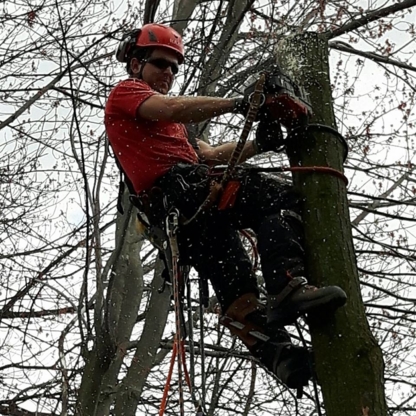 Francis L'Heureux Services Arboricoles - Service d'entretien d'arbres
