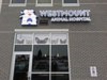 Westmount Animal Hospital - Veterinarians