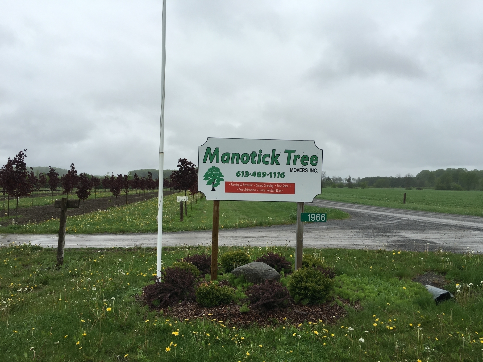 Manotick Tree Movers Inc - Service d'entretien d'arbres