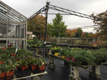 Little Garden Greenhouse - Landscape Contractors & Designers