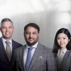 Veltri Wealth Management Group - TD Wealth Private Investment Advice - Closed - Investment Advisory Services