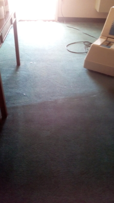 Above All Eco Clean - Carpet & Rug Cleaning