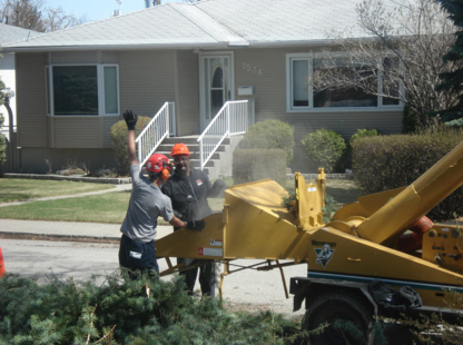 Calgary Tree Experts Inc - Service d'entretien d'arbres