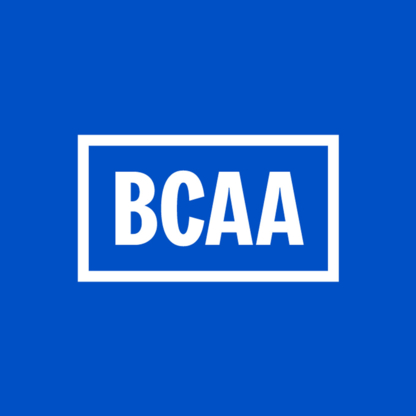 BCAA - Auto Repair Garages