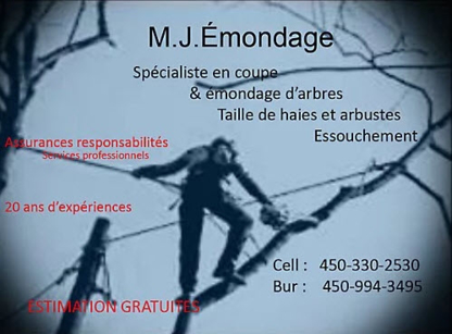 MJ Émondage - Tree Service
