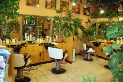 Hairport Hair Design - Hair Salons