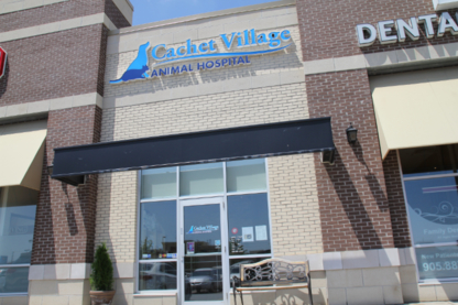 Cachet Village Animal Hospital - Veterinarians