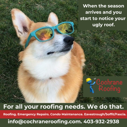 Cochrane Roofing - Roofers