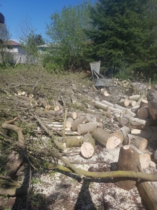 Wright's Tree Care - Tree Service