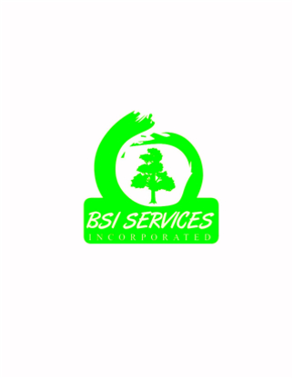 BSI Services Inc - Home Cleaning