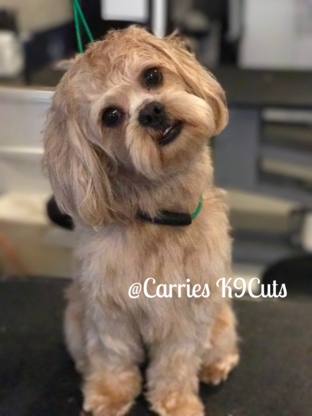 Carrie's K9 Cuts - Pet Grooming, Clipping & Washing