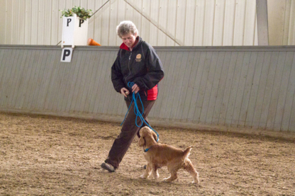 Calgary Canine Centre - Dressage et éducation d'animaux de compagnie