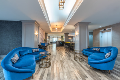 The Simon Hotel Sydney - Hotels
