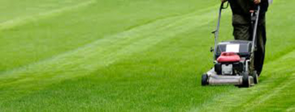 Peter Majo Home & Garden Maintenence - Lawn Maintenance