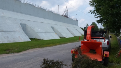 Arbo - Phyto Environnement - Tree Service
