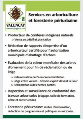 Gestion Arboricole Valencay - Service d'entretien d'arbres