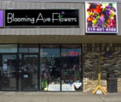 Blooming Avenue Flowers - Magasins de fleurs et de plantes artificielles