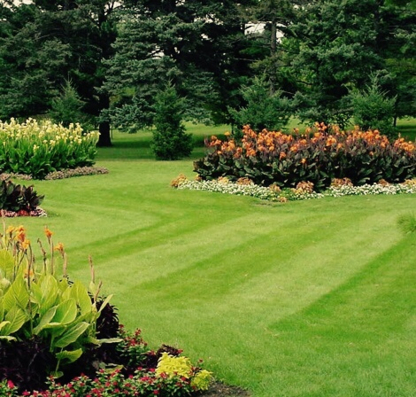 We Cut For You - Lawn Maintenance