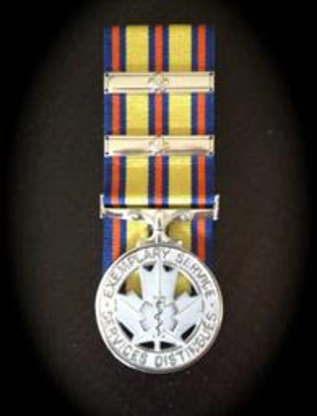 Fern's Medal Mounting - Insignes