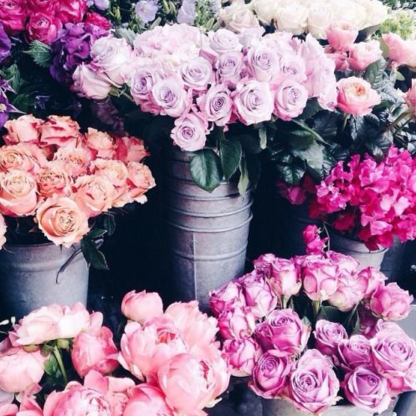 Les Fleurs Du Plateau - Florists & Flower Shops