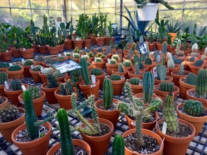 Le Cactus Fleuri Inc - Magasins de plantes d'intérieur