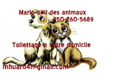 Mario Toilettage De Chien et Chat - Pet Grooming, Clipping & Washing