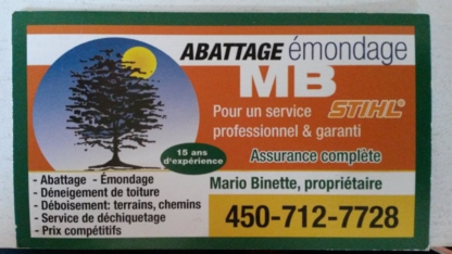 Abattage Émondage MB - Tree Service