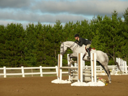 Banbury Farm Stables - Écuries