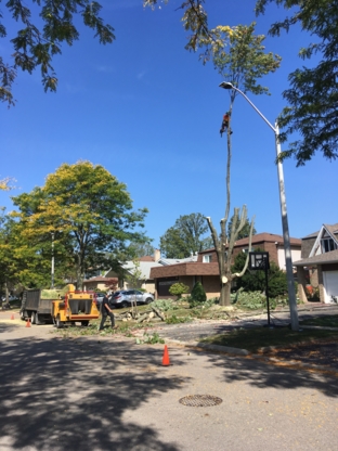 Ultimate Tree Care & Removals - Tree Service