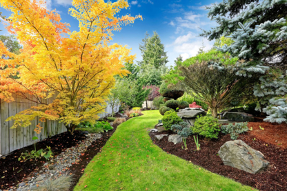 Bellevue Landscaping - Landscape Contractors & Designers