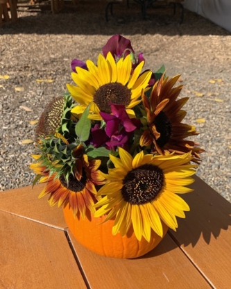 The Sunny Spot - Mini-Golf