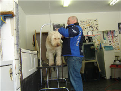 Pet Valu 75 Ellesmere Rd Toronto On