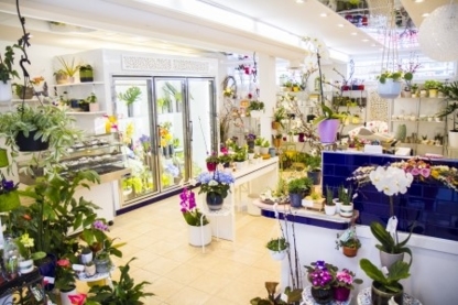 Phulero Dola The Swing Of Flow - Florists & Flower Shops