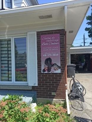 Salon de Toilettage Belle Couleur - Pet Grooming, Clipping & Washing