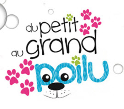 Toilettage du Petit au Grand Poilu - Pet Grooming, Clipping & Washing