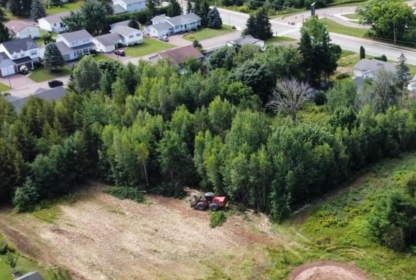 Unique Mulching - Tree Service